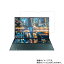 Asus ZenBook Duo UX481FL 2020ǯ5ǥ  [N35] ޥå ȿ㸺  ۱վ ݸ ե   ֥å ǥ奪