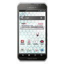 docomo AQUOS PHONE sv SH-10D p 60/103/RH y n[t~[ hw z t ی tB  ANIX tH GXuC hR