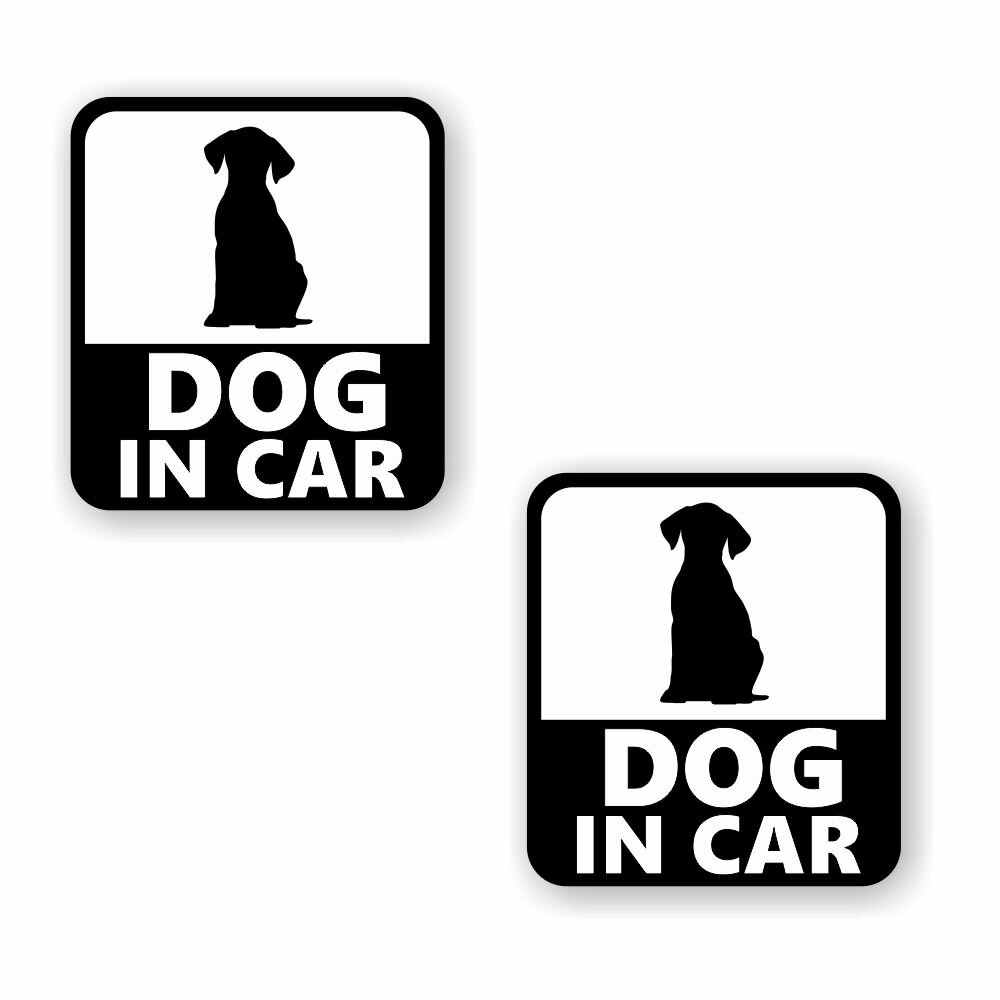 [2Zbg][ DOG IN CAR ]  TC V[ XebJ[ |f 95mm x 105mm 0.08mm lp hbOCJ[ Dog In Car XebJ[ J[TC Z[teBXebJ[  Ck hbO Ă܂ { [zCg/ubN]