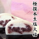 極撰本生塩大福 10個入り　御菓子処　餅信【岐阜県/各務原/生クリーム大福】