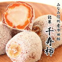 スイーツ 千寿柿 10個入り 御菓子処 餅信 岐阜県 各務原 ギフト 贈り物 干し柿 市田柿 お菓子