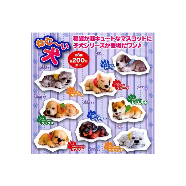 ねむ〜い犬　全8種ビームガチャポン　ガシャポン　ガチャガチャ