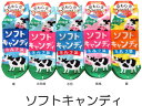 おもしろソックス くるぶし丈 ソフトキャンディ 日本製 レディース おもしろ靴下 かわいいおもしろソックス スニーカータイプ