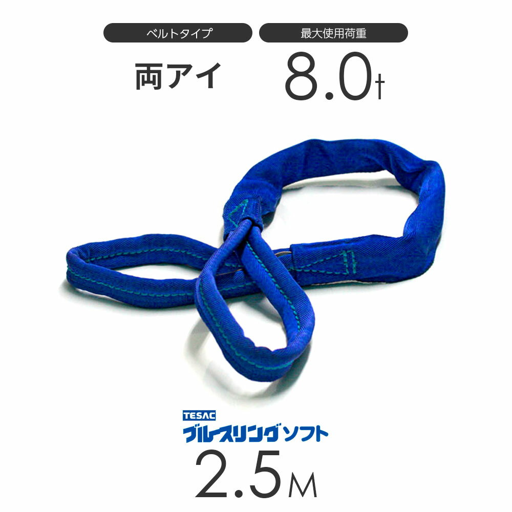 Rakuten - ブルースリング ソフト E型（両端アイ）8.0t × 2.5M ベルトスリング made in JAPAN