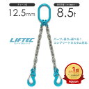 2本吊りチェーンスリング 特注WEBカスタム 使用荷重:8.5t φ13mm リフテック G100チェーンスリング