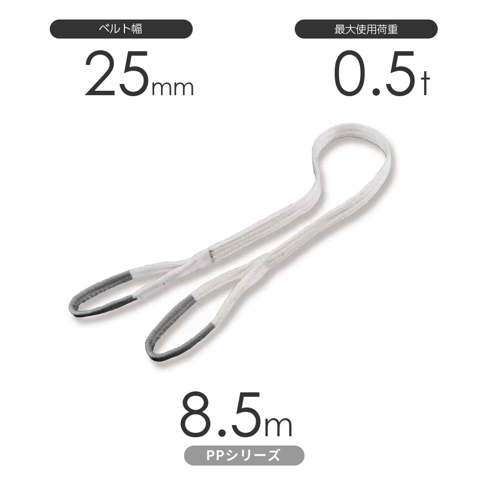 樂天商城 - 化学薬品用ベルトスリング PPシリーズ 両端アイ形（E型）幅25mm×8.5m 使用荷重:0.5t 丸善織物