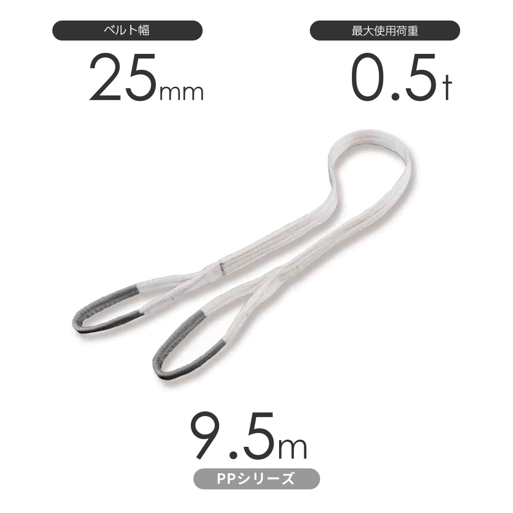 樂天商城 - 化学薬品用ベルトスリング PPシリーズ 両端アイ形（E型）幅25mm×9.5m 使用荷重:0.5t 丸善織物