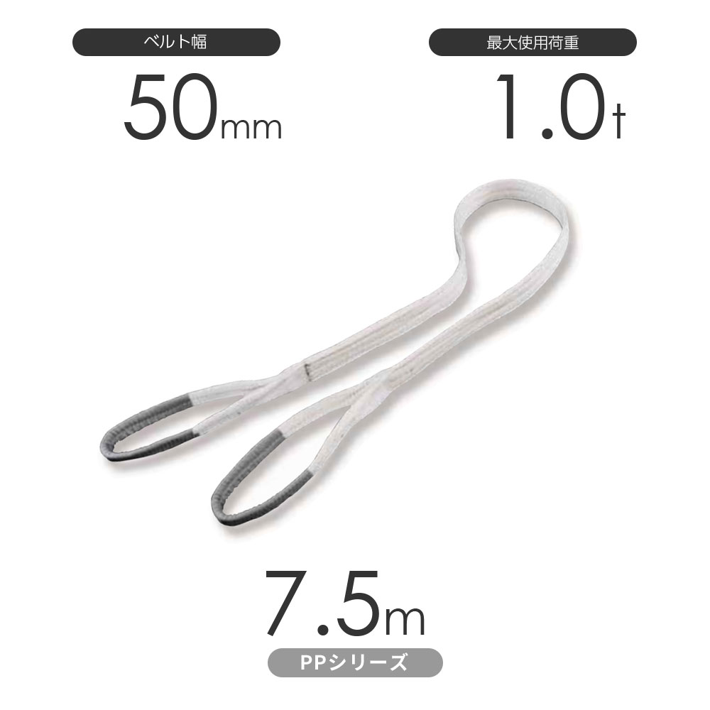 化学薬品用ベルトスリング PPシリーズ 両端アイ形（E型）幅50mm×7.5m 使用荷重:1.0t 丸善織物