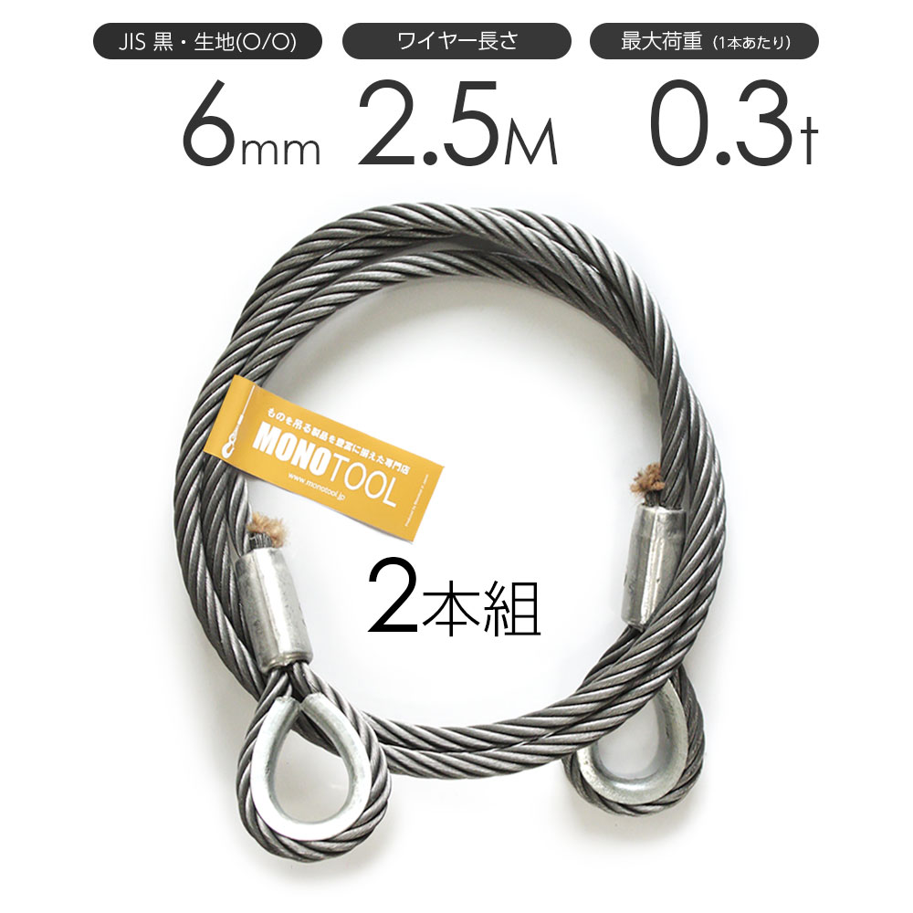 Rakuten - 玉掛けワイヤーロープ 2本組 両シンブル 黒(O/O) 6mmx2.5m JISワイヤーロープ
