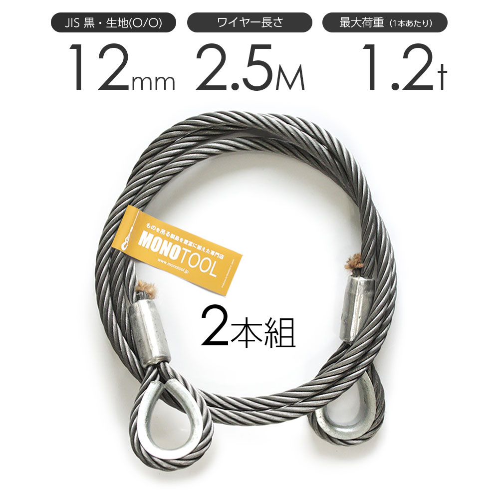 樂天商城 - 玉掛けワイヤーロープ 2本組 両シンブル 黒(O/O) 12mmx2.5m JISワイヤーロープ
