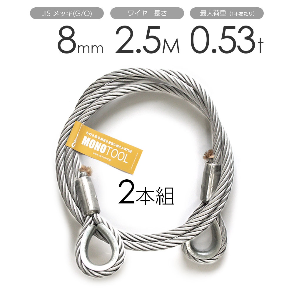 Rakuten - 玉掛けワイヤー 2本組 両シンブル メッキ 8mmx2.5m