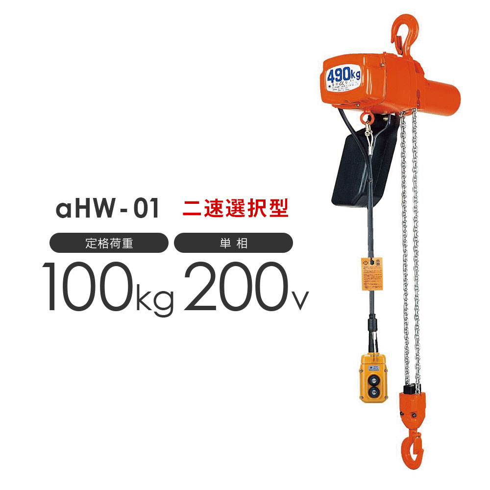 ɤĹѹOK ݰ ե ŵ֥å HW-01 100kg ® ñ200V AHW-K1030 ɸ3.0m 