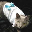 総レースでとってもゴージャス★姫系レースラウンドシャツ猫&犬対応