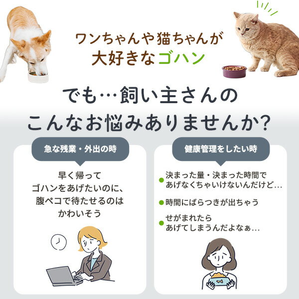 �ð�տ侩 ��ư��´� �����åȥա��� �����ޡ� ���ꥫ��ޥ����� FR �ե�å��� �����Τ����쥯�ȥ�å� ǭ �� ��ư �¤��� �¤�굡 ��´� ���ż� �������� �̵� �ѥ��� ���� ����� �ե꡼���ɥ饤 ����å� �ɥå� �ա���