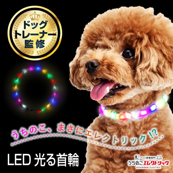 【ドッグトレーナー監修 】 光る首輪 犬 小型犬 中型犬 首輪 光る 散歩 夜 LED ライト レインボー USB 充電式 サイズ調節可能 ひかる キラキラ ソフト 柔らかい やわらかい 安全 犬の首輪 ペッ…