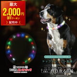 ں2,000OFFݥۡڥɥåȥ졼ʡƽ     淿     LED 饤 쥤ܡ USB ż Ĵǽ Ҥ 饭 ե 餫 餫  μ ڥå 襤 İ 