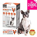 レビュー特典付☆獣医師推奨 カリカリマシーンV2 犬 猫 自動給餌器 スマホ操作不要 タイマー 自動餌やり機 エサ 自動 手動 ペット 5gプロペラ付き 乾燥剤 密閉 ロック 蓋が閉まる センサー 洗える 時間 電池 ステンレス
