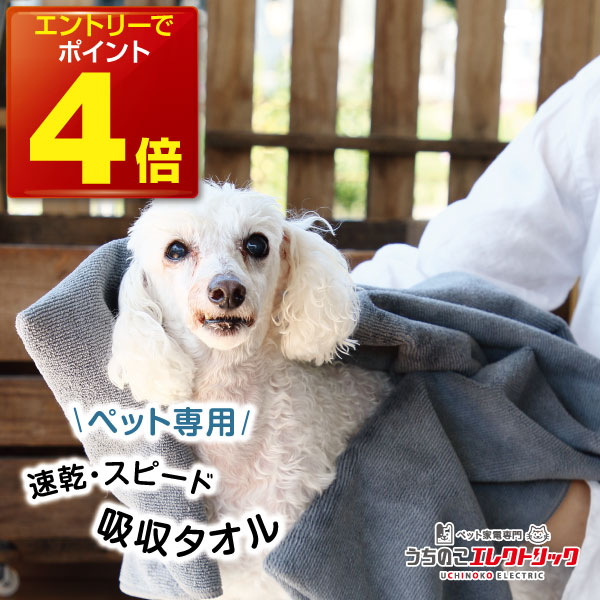  {P4{ ybg^I  L z  }CNt@Co[ z Vv[ hC[ ^I ybg p Lp O[ ^ z  hC  ˂ Taitto QUICK DRY TOWEL ^Cbg NCbNhC^I v`Mtg