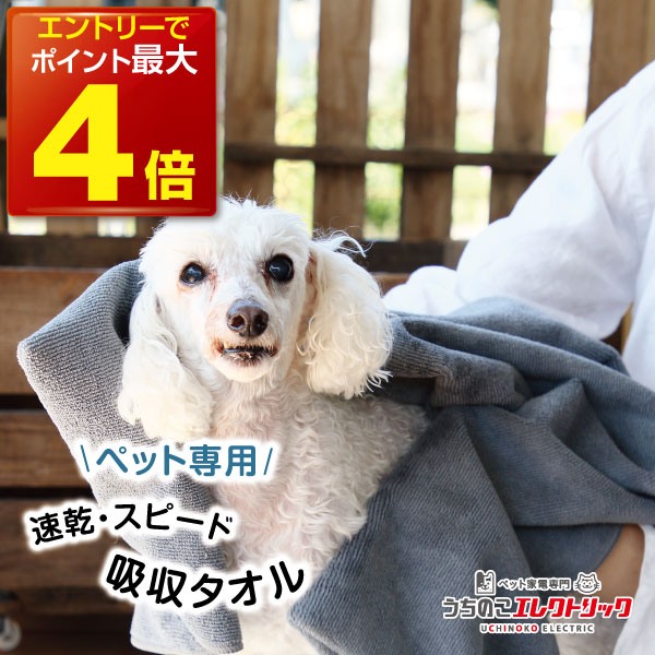 【本日P最大4倍】ペットタオル 犬 