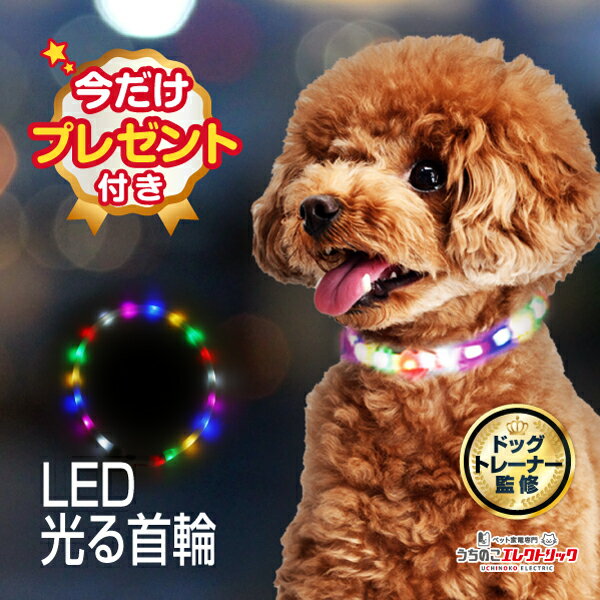 【今だけ★数量限定プレゼント付き】 ドッグトレーナー監修 光る首輪 犬 小型犬 中型犬 首輪 光る 散歩 夜 LED ライト レインボー USB 充電式 サイズ調節可能 ひかる キラキラ ソフト 柔らかい やわらかい 安全 犬の首輪 ペット