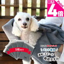 レビュー特典付☆20%OFF★5枚セット★ ペットタオル 犬猫シャンプーに超吸収ペットタオルで速乾 犬猫専用ドライヤーの前に forPET Taitto QUI...