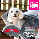 レビュー特典付☆20%OFF★5枚セット★ ペットタオル 犬猫シャンプーに超吸収ペットタオルで速乾 犬猫専用ドライヤーの前に forPET Taitto QUI...