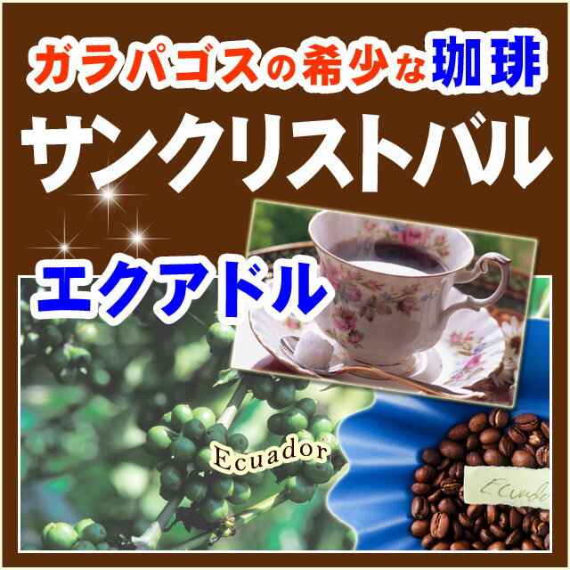 南米エクアドル産サンクリストバル・ガラパゴス【500g】★送料無料！