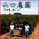 日本人が作ったブラジルコーヒー山口農園ブルボン500g送料無料！