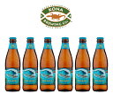 【ビッグウェーブ】6本セット ハワイ コナビール BIGWAVE ビールギフト KONA BEER 母の日ギフト 誕生日プレゼント 熨斗・ギフトシール無料対応 強化梱包 BEER EARTH GIFT BOX