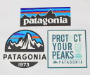 訳あり パタゴニア ステッカー 光沢 3種セット PATAGONIA フィッツロイスコープ P-6 プロテクトユアピークス FITZROY シール SET 新品
