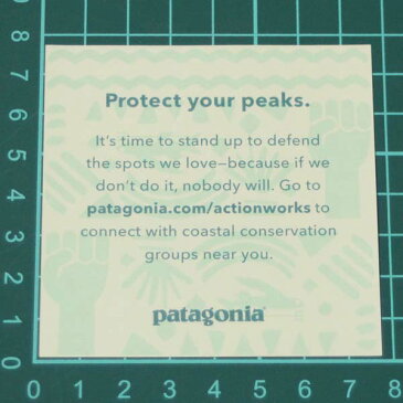 パタゴニア プロテクト ユア ピークス ステッカー 光沢 Patagonia PROTECT YOUR PEAKS トライデントフィッシュ シール デカール ネコポス