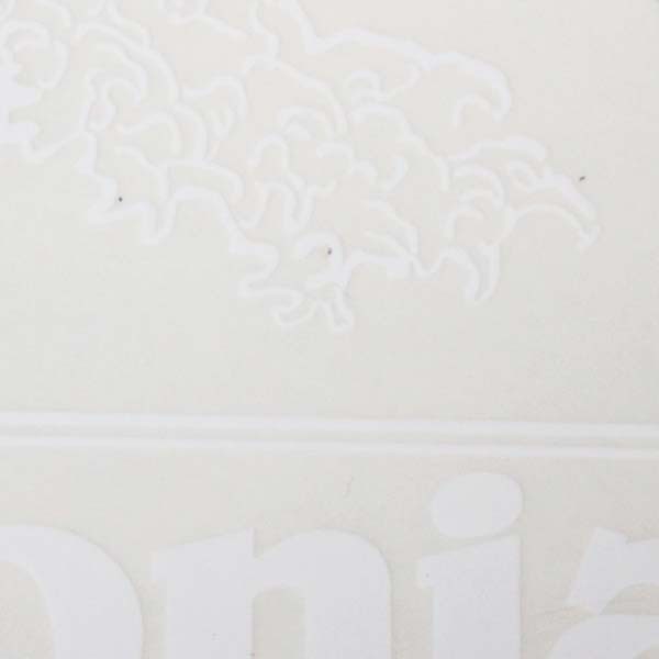 【期間限定ポイント10倍】訳有 廃番 パタゴニ...の紹介画像3