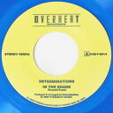 DETERMINATIONS IN THE SHADE / THE PRESENT POSITION 青 デタミネーションズ 7インチ レコード スカ ロックス...