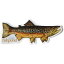 【期間限定ポイント3倍】訳あり フィッシュポンド ステッカー ブラウン トラウト FISHPOND BROWN TROUT STICKER LS-6 鱒 魚 釣り シール カスタム ネコポス 新品