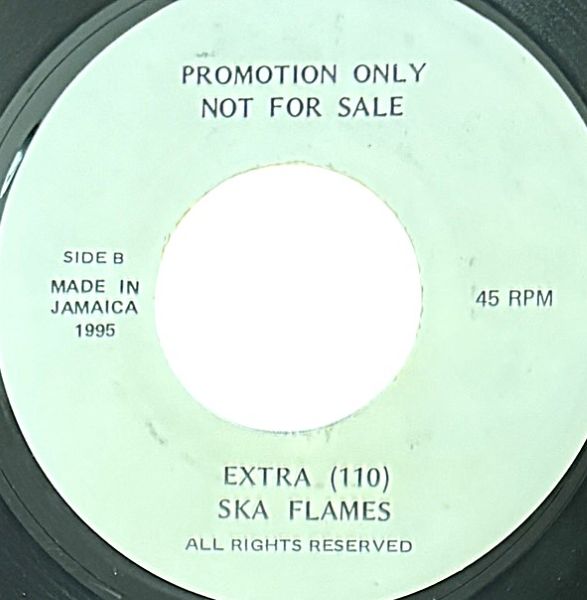 【期間限定ポイント10倍】PROMO ONLY...の紹介画像3