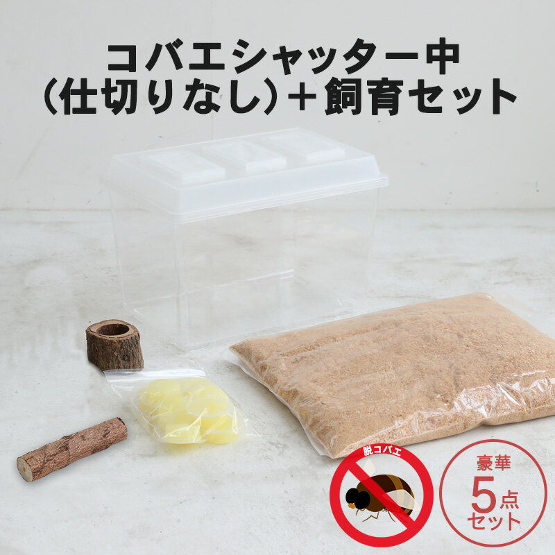 むしや本舗【コバエシャッター「昆虫飼育ケース」中サイズ（内部仕切りなし）】豪華5点セット