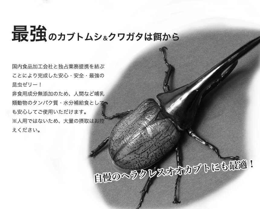 送料無料！【純国産 昆虫 ゼリー！ミルキーホワイト16g 500個入り】 カブトムシ クワガタ エサ 餌