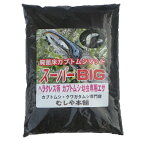 むしや本舗【超高カロリー！廃菌床 カブトムシマット「スーパーBIG」】スーパービッグ／昆虫マット／カブトムシ幼虫のえさ／幼虫餌／えさ／完熟マット／カブトマット／ペット用品／ヘラクレスオオカブトのえさ