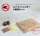 『エントリーでポイント5倍!』むしや本舗 コバエシャッター + 飼育セット 昆虫飼育ケース 豪華セット 飼育ケース ケース セット マット ゼリー 木 エサ皿 ...