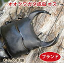 【商品名】能勢YG 国産オオクワガタ 成虫 オス 超特大サイズ 86ミリ 【学　名】Dorcus hopei binodulsus 【体　長】86ミリ 【羽　化】羽化後、1～6ヶ月以内 【累　代】CB 【産　地】能勢YG 【寿　命】3年程度 【飼　育】20〜25度が理想ですが低温でも弱ってしまう事は、 　　　　　ほとんどありません。冬場は冬眠します。 ※証明書等の発行はしておりません。 有名血統のオオクワガタを育てよう！ （写真は、同等のイメージです） 配送用の小さな容器に入れてのお届けとなります！ 飼育に必要なものが全て揃った飼育セットもご一緒にご注文下さい。 1梱包にまとめてお届け致します！ ※複数のサイトでも同じ個体を販売しておりますので購入のタイミング 次第では在庫切れの場合もございます。 先にご注文の方を優先いたしますので予めご了承下さい。 同等品がある場合はご案内させて頂きます。