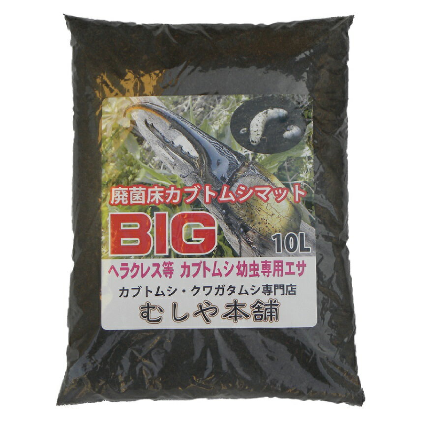 むしや本舗【高カロリー！廃菌床発酵カブトムシ マット「BIG」10リットル 2袋】昆虫マット／かぶとむし／カブトムシ幼虫のエサ／ヘラクレス幼虫のエサ／カブトムシマットビッグ