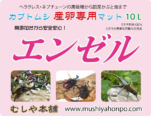 カブトムシ産卵専用マット　[エンゼル］10L