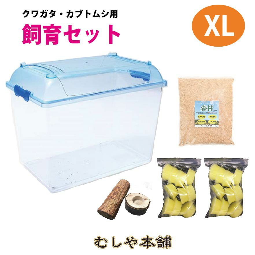 送料無料！【ヘラクレスオオカブト等 大型成虫用飼育セット 「超大型のXLサイズ」】飼育ケース 虫かご 昆虫ケース 飼育容器