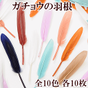 【クーポン配布中】羽根 単品 10枚セット ガチョウ 全8色 約10.5cm×17cm ■ フェザー アクセサリー パーツ チャーム イヤリング ピアス キーホ...