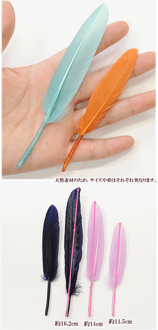 【先着150円OFFクーポン】羽根 単品 10枚セット ガチョウ 全8色 約10.5cm×17cm ■ フェザー アクセサリー パーツ チャーム イヤリング ピアス キーホルダー djh23 ■