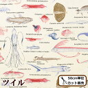 楽天手作り工房MYmama（エムワイママ）ツイル 生地 深海 生物 図鑑 ■ 深海生物図鑑 魚 さかな サカナ 入園 入学 通学 通園 男の子 女の子 布 国産 レッスンバッグ シューズ バッグ クッション カバー インテリア リアル プリント コットン こばやし 手作り 手芸 商用利用可 eki10 ■