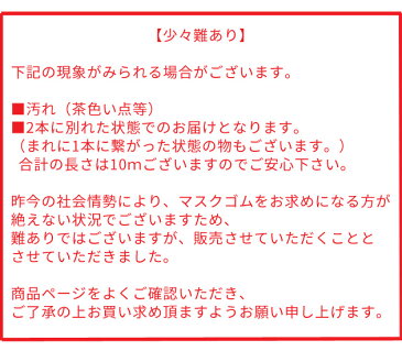 【毎日22時〜販売】 【少々難あり】細め マスクゴム 楕円ゴムタイプ ホワイト 10y（約9m） 《 手作りマスク 白 マスク用 ゴム ひも マスク ゴム 手作り 手芸 ハンドメイド 裁縫 風邪 花粉 ほこり 》