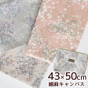 よくばり御朱印帳ケース の はだかのキット 専用 カットクロス 約43×50cm ■ ヘイズグラス ボタニカル かすみ草 北欧調 北欧風 モーメント 綿麻 キャ...