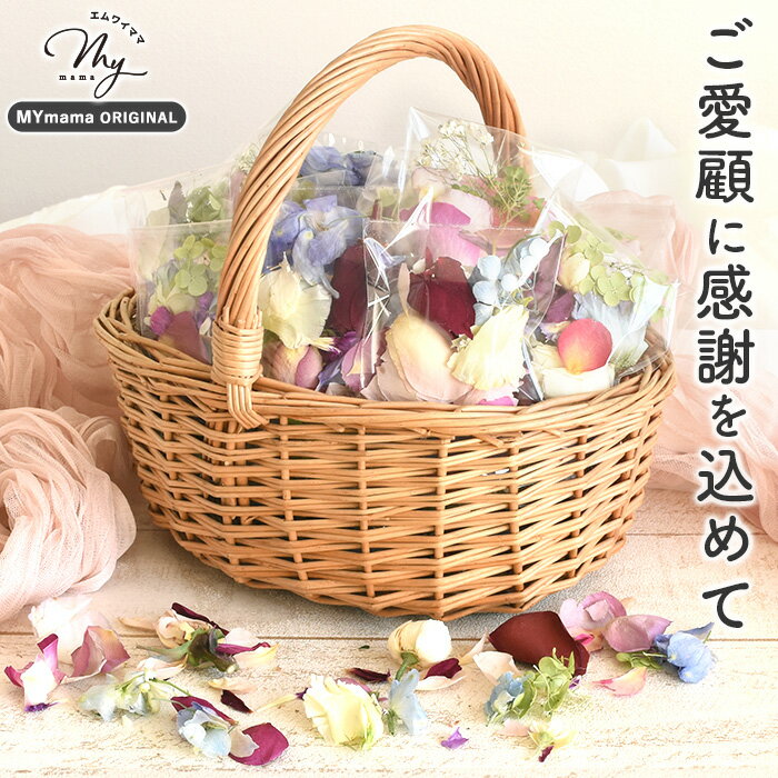 ��1000�߰ʾ������1�ߢ� ���̸��� 1�� �ɥ饤�ե� ���å� �� ���۲� �ֺ� �� ���� �ߥå��� �������� ���� �¤� �쥸�� ��...