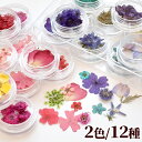 押し花セット レジンパーツ 《 ドライフラワー レジン UVレジン レジン液 uv クラフト アクセサリーパーツ 手芸 ハンドメイド 》